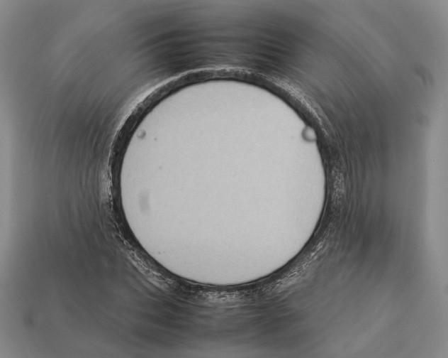 X0000113030927200909241410