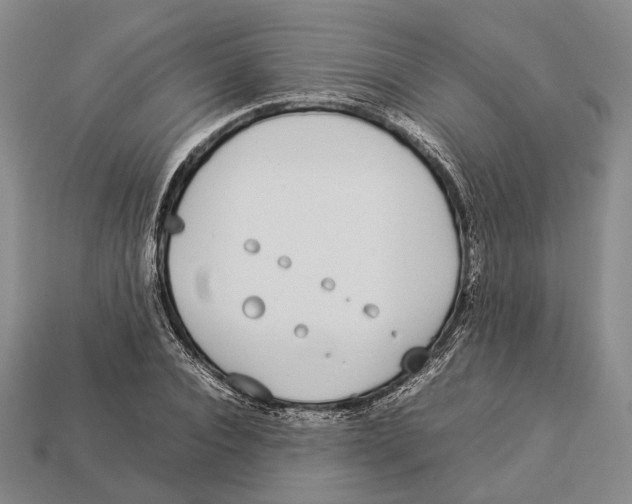 X0000113030928200909241410