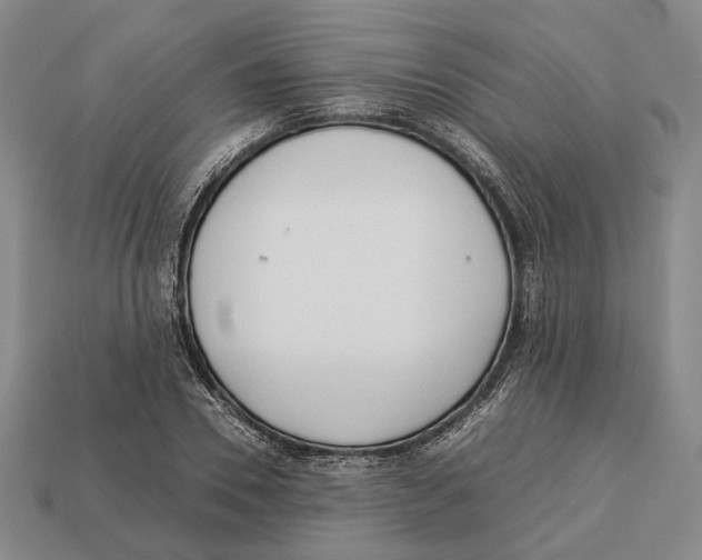 X0000113030930200909241410