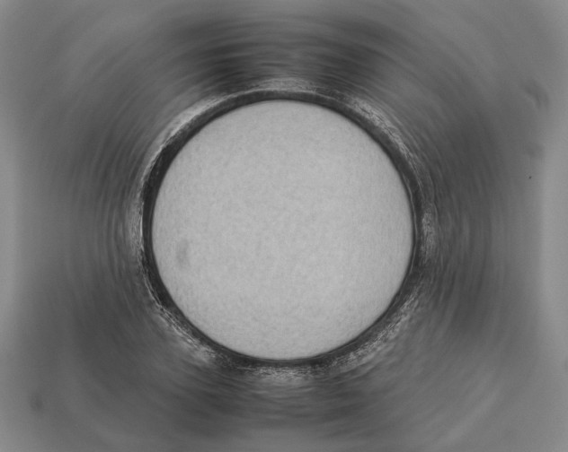 X0000113030931200909241410