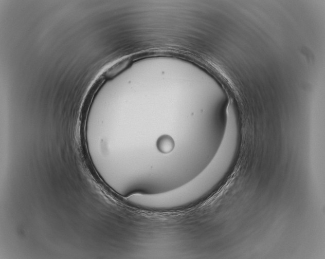 X0000113030932200909241410