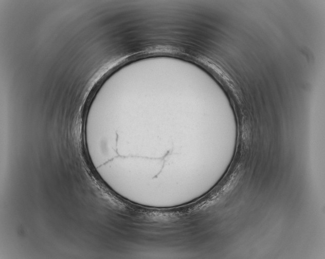 X0000113030933200909241410