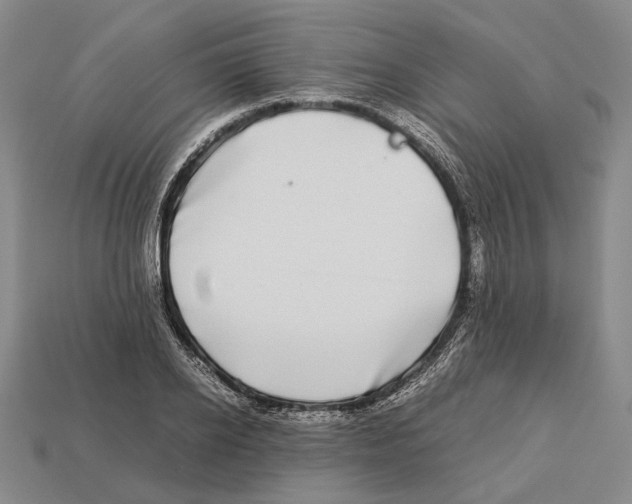 X0000113030934200909241410