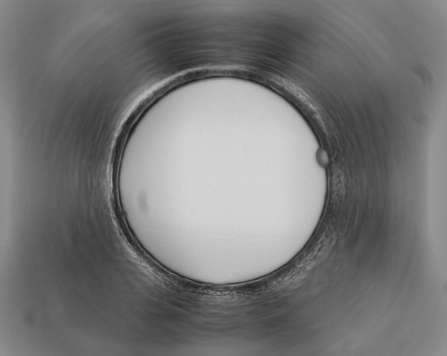 X0000113030935200909241410