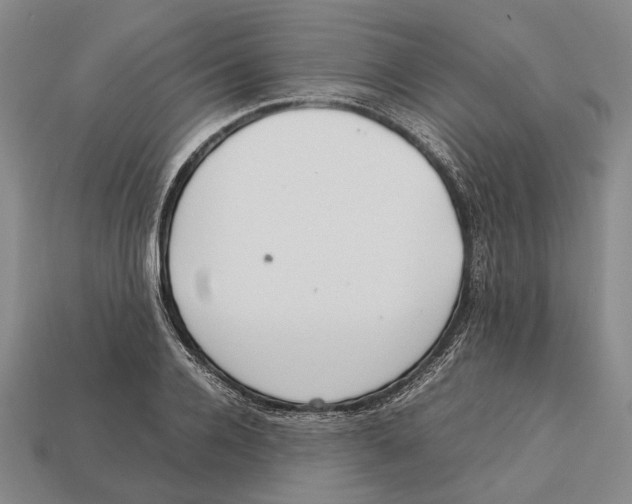 X0000113030936200909241411