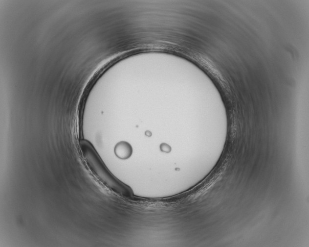 X0000113030940200909241411