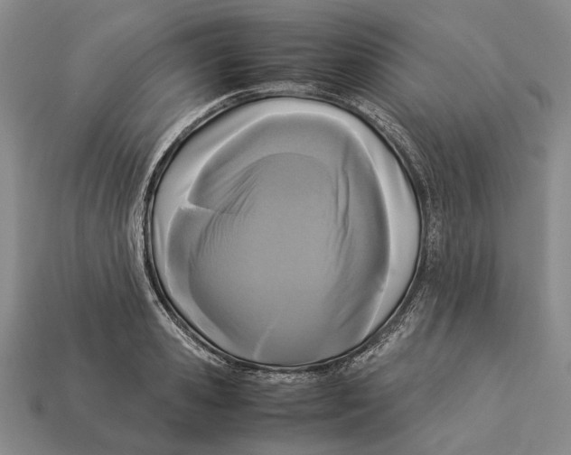 X0000113030941200909241411