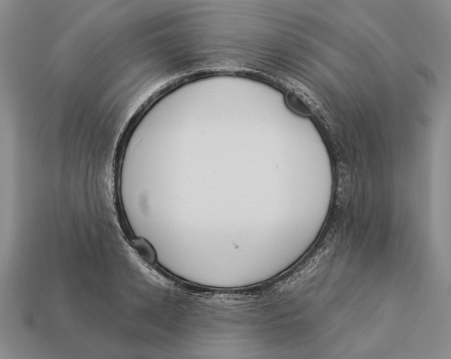 X0000113030942200909241411