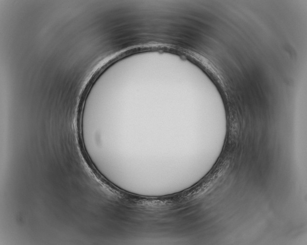 X0000113030943200909241411