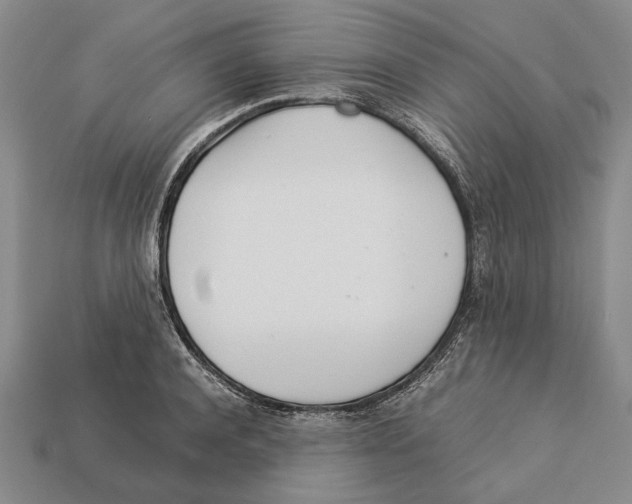 X0000113030944200909241411