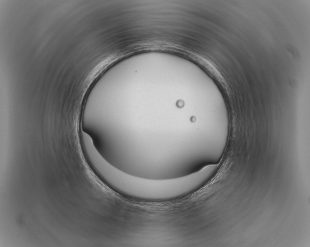 X0000113030946200909241411