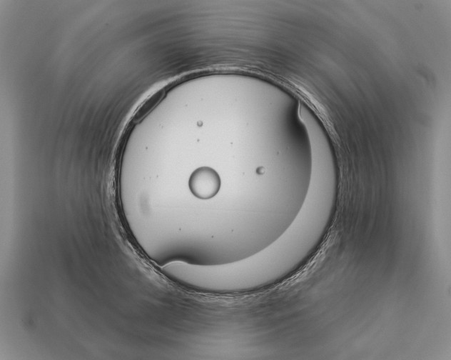 X0000113030948200909241411