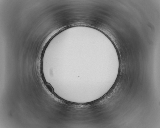 X0000113030949200909241411