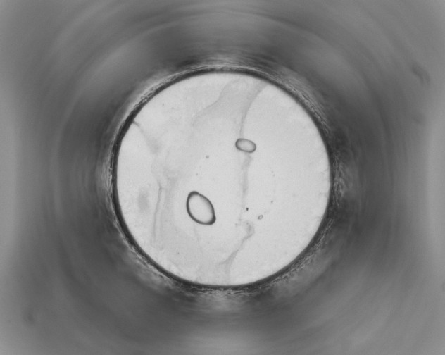 X0000113030950200909241411