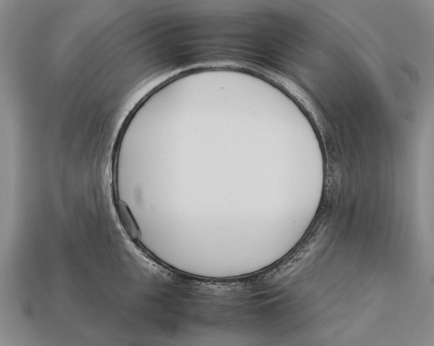 X0000113030951200909241411