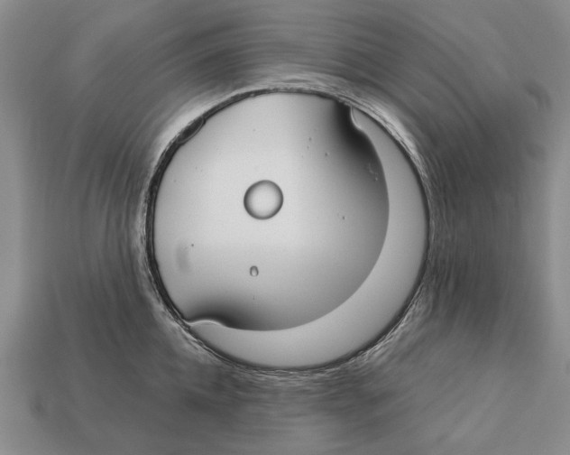 X0000113030952200909241411