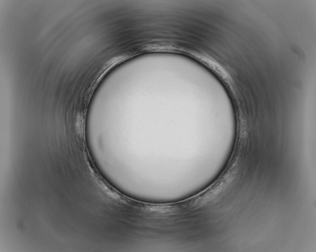 X0000113030953200909241411