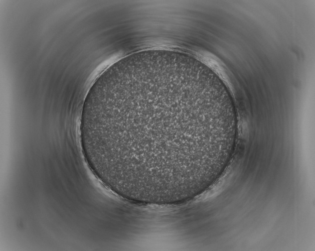 X0000113030954200909241411