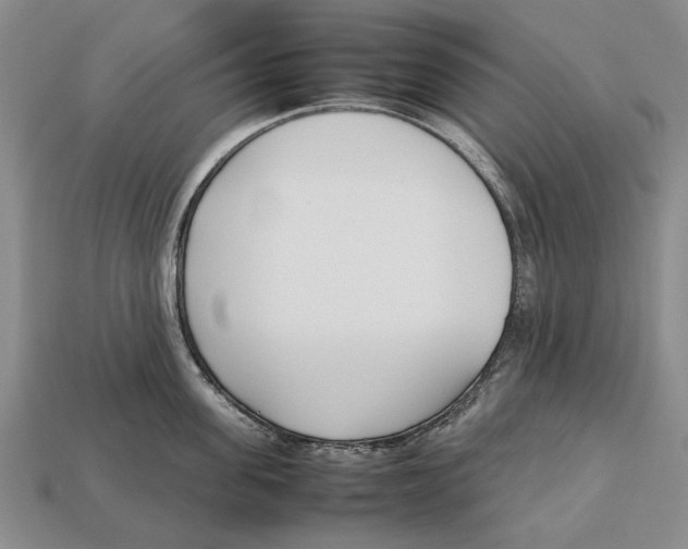 X0000113030955200909241411