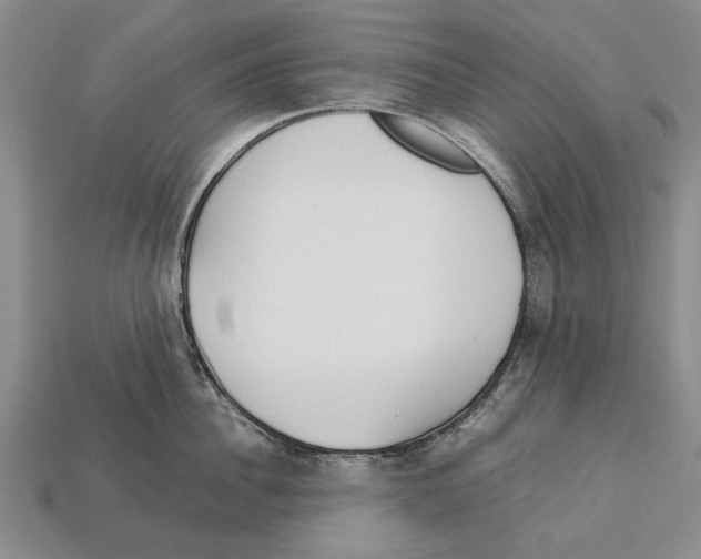 X0000113030956200909241411