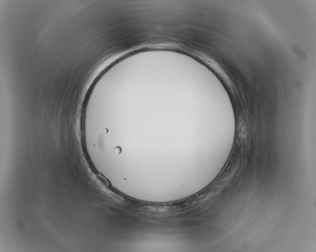 X0000113030959200909241411