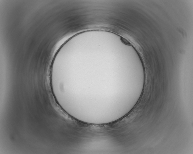 X0000113030960200909241411