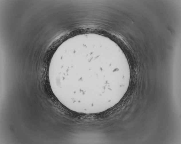 X0000113030967200909241410