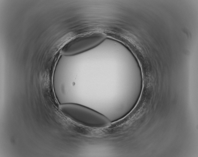 X0000113030969200909241410