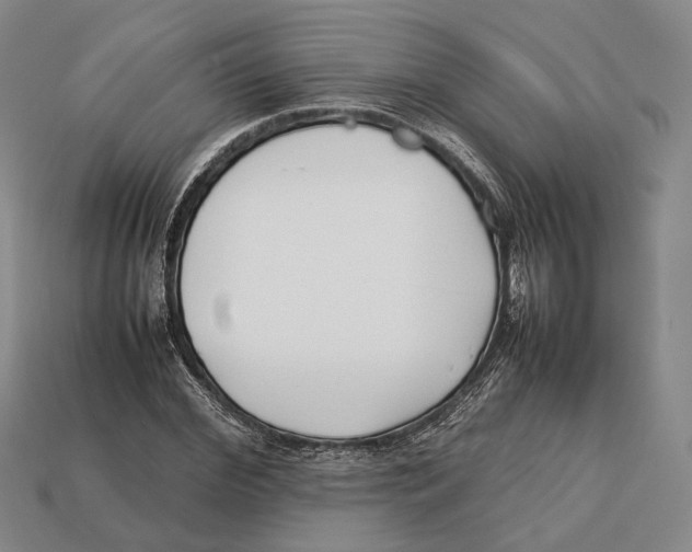 X0000113030972200909241410