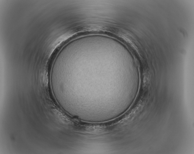 X0000113030973200909241410