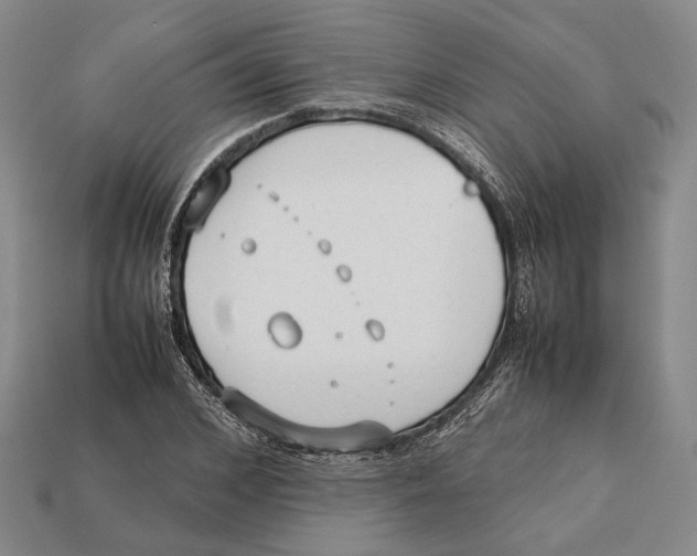 X0000113030976200909241410