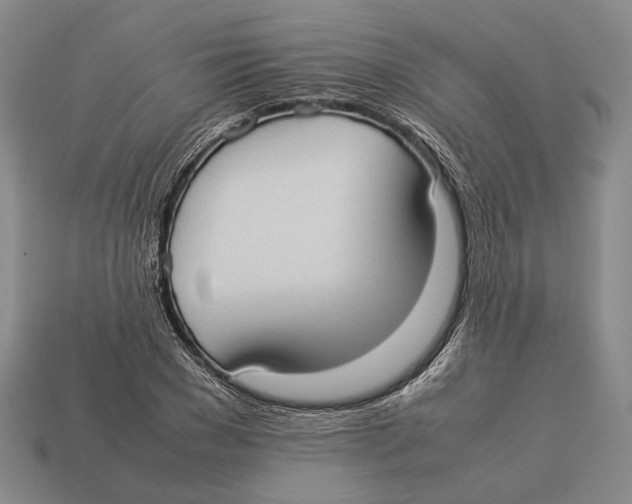 X0000113030977200909241410