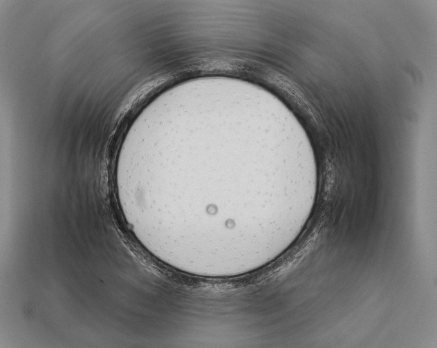 X0000113030978200909241410