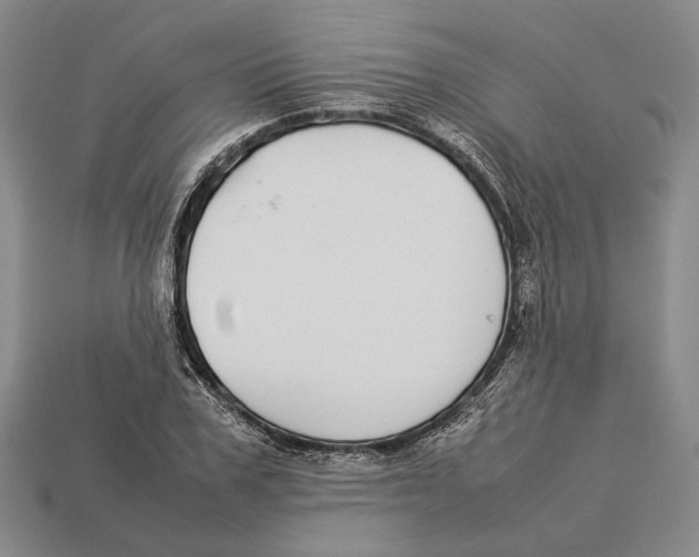 X0000113030979200909241410