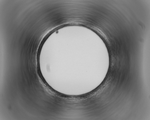 X0000113030980200909241410