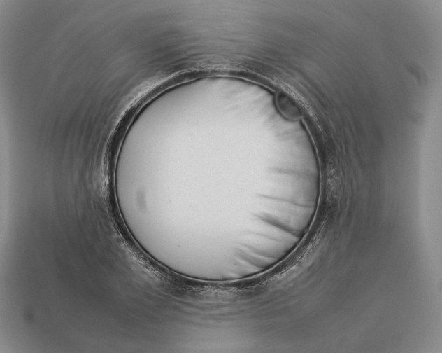 X0000113030981200909241410