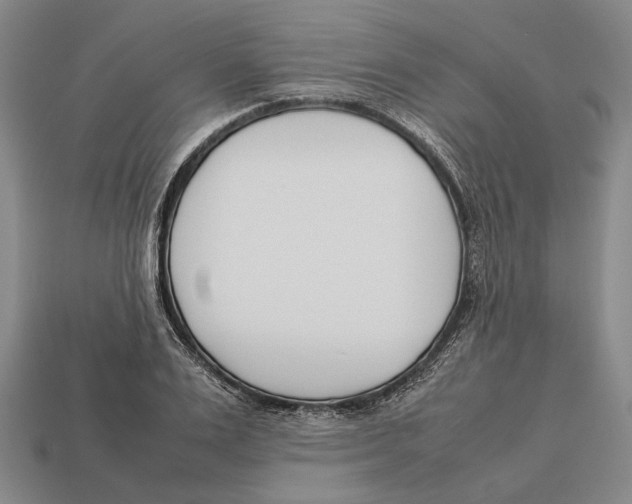 X0000113030983200909241410