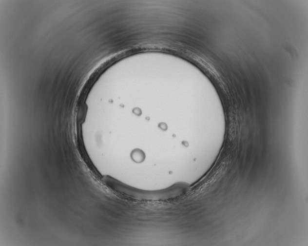 X0000113030984200909241410