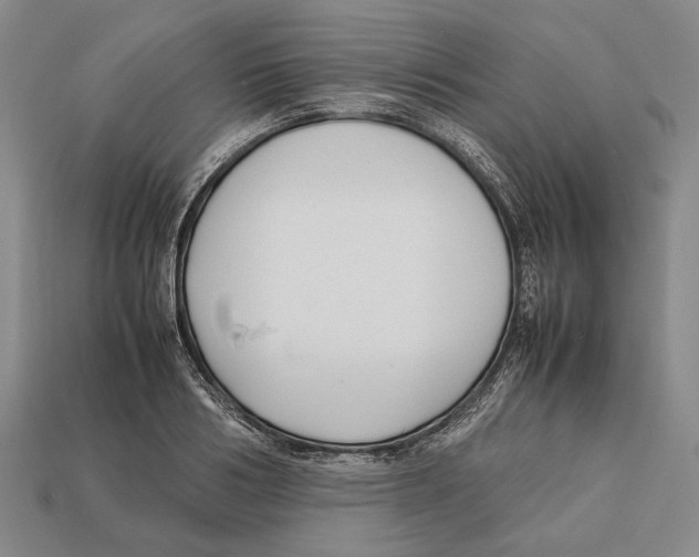 X0000113030986200909241410