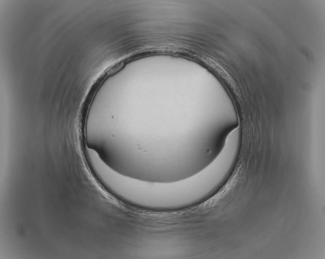 X0000113030989200909241410