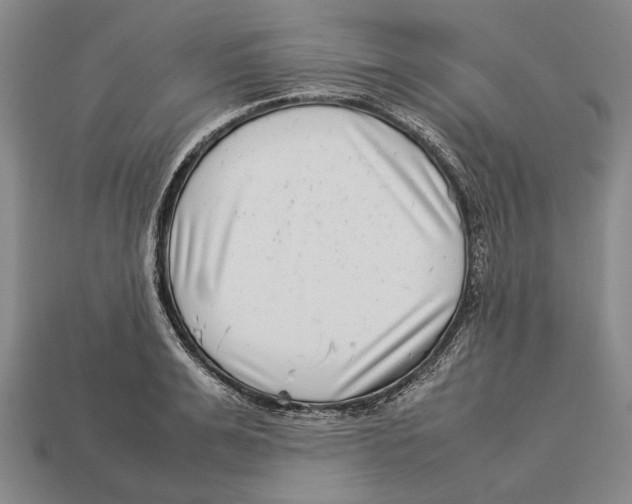 X0000113030991200909241410