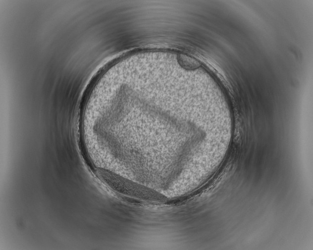 X0000113030992200909241410