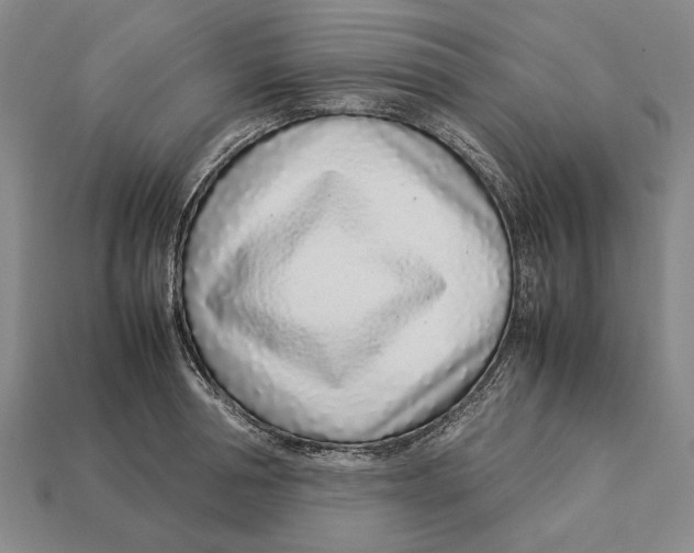 X0000113030994200909241410