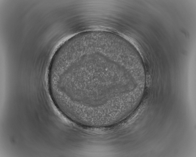 X0000113030995200909241410