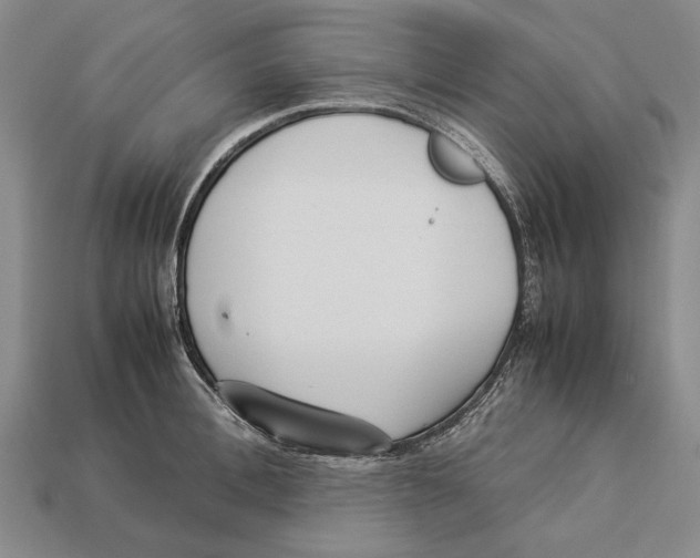 X0000113030996200909241410