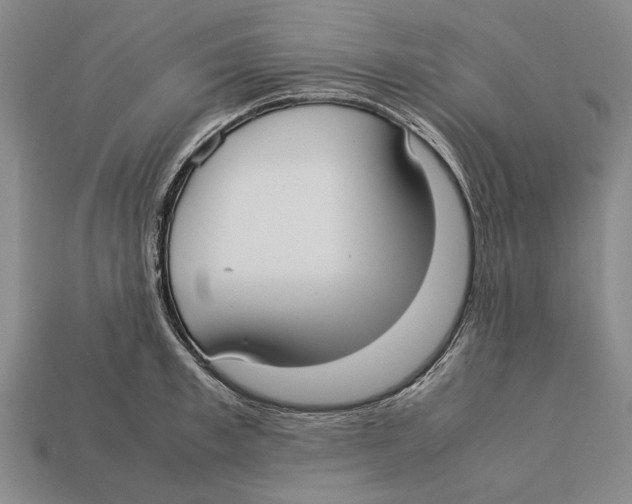 X0000113030997200909241410