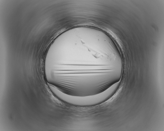 X0000113031001200909241410