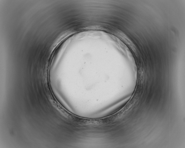 X0000113031002200909241410