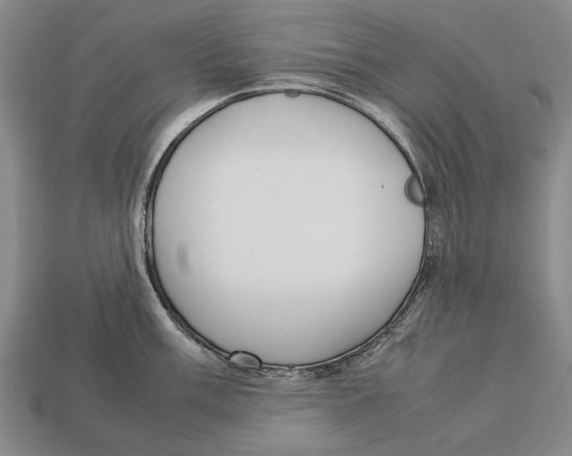 X0000113031003200909241410