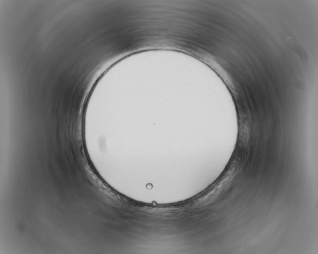 X0000113031004200909241410